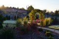 new garden